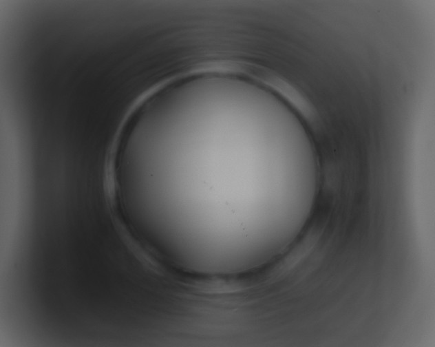 X0000100940980200807081231