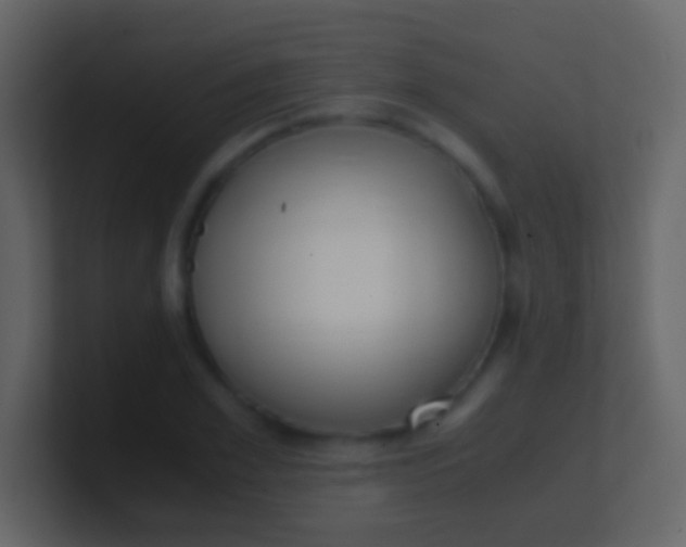 X0000100940981200807081231