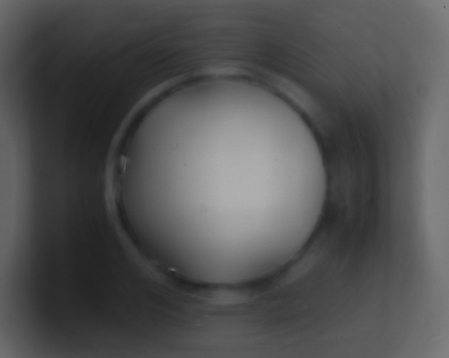 X0000100940984200807081231