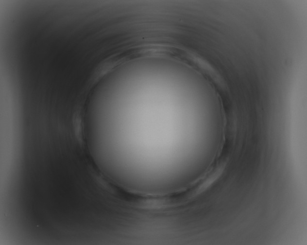 X0000100940985200807081231