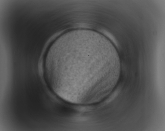 X0000100940987200807081231