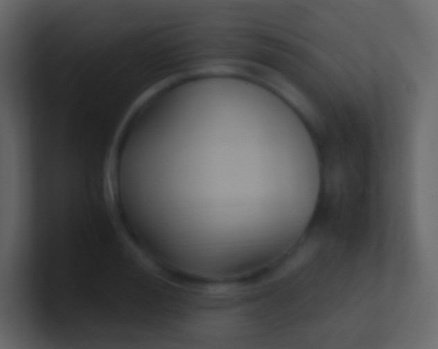 X0000100940988200807081231