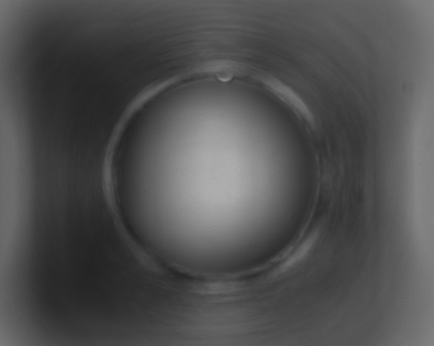 X0000100940989200807081231