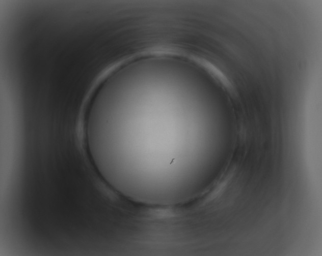 X0000100940990200807081231