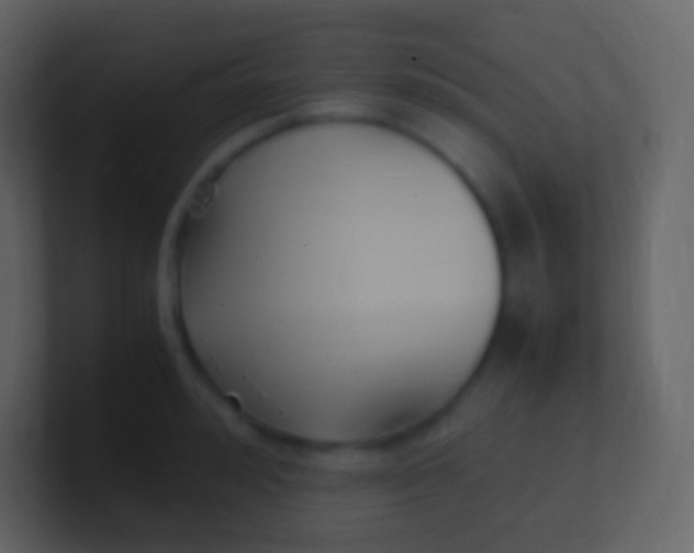 X0000100940992200807081231