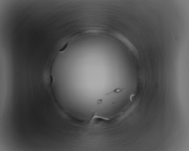 X0000100940993200807081231