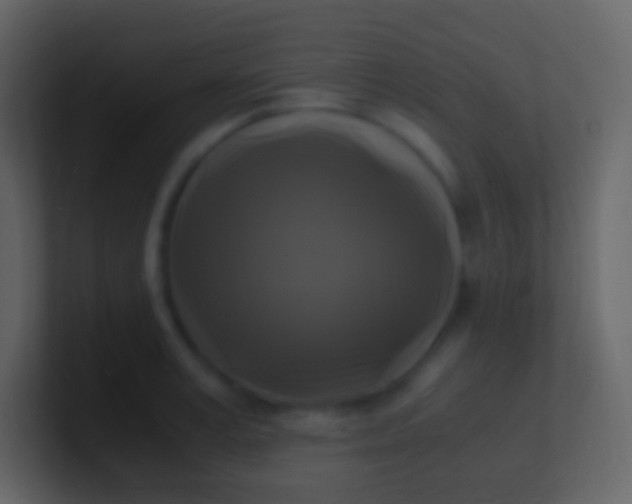 X0000100940995200807081231