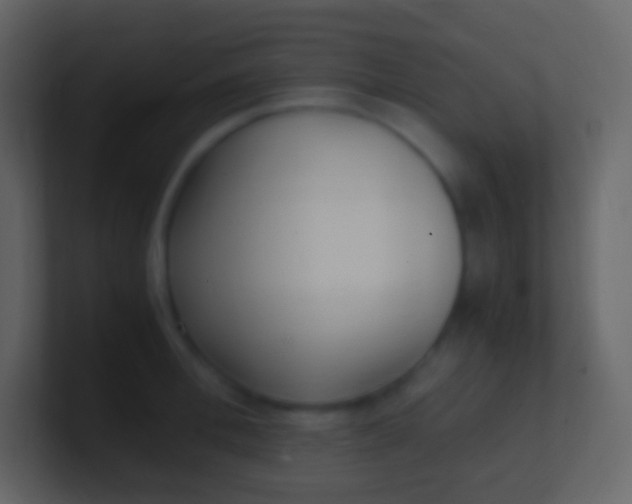 X0000100940996200807081231