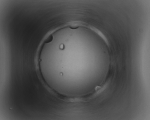 X0000100940997200807081231