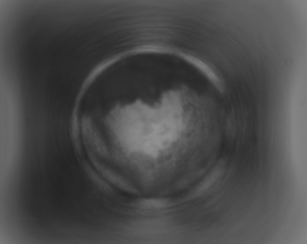 X0000100940998200807081231