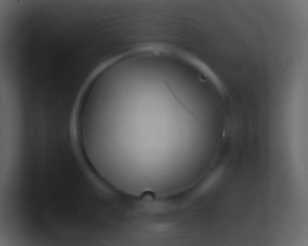 X0000100940999200807081231