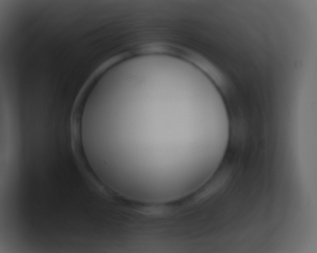 X0000100941000200807081231