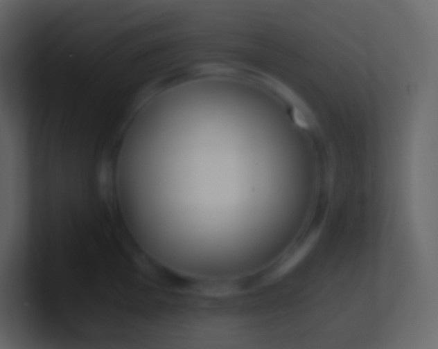 X0000100941001200807081231