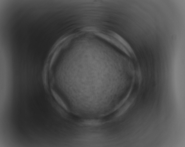 X0000100941002200807081231