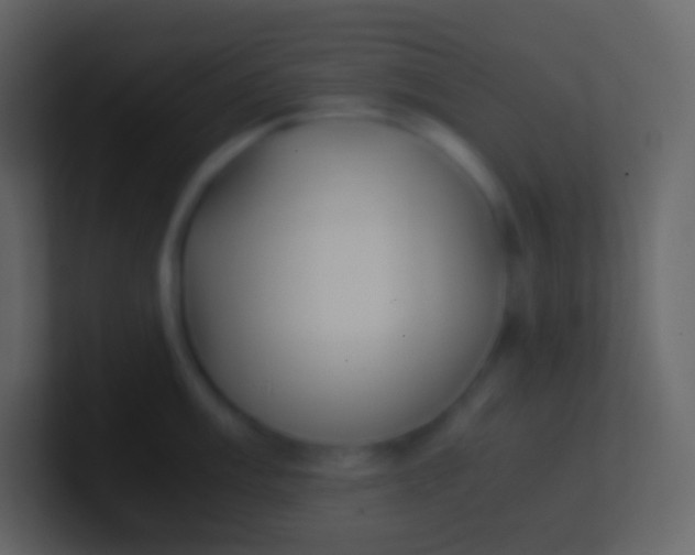 X0000100941003200807081231