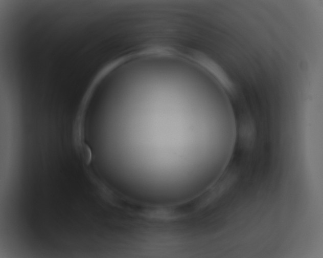 X0000100941004200807081230