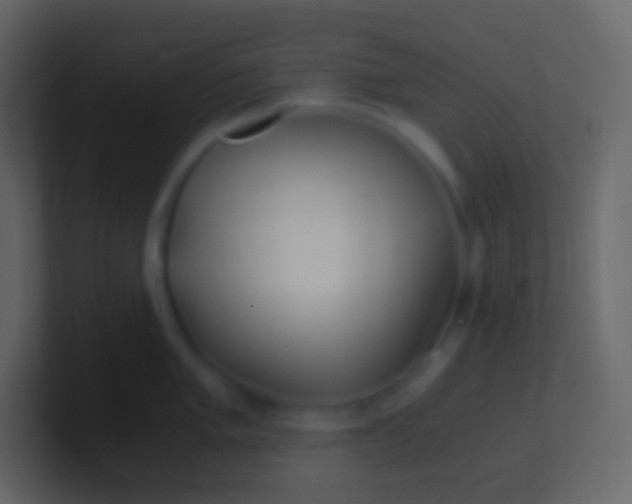 X0000100941005200807081230