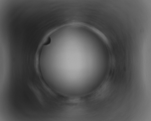 X0000100941006200807081230