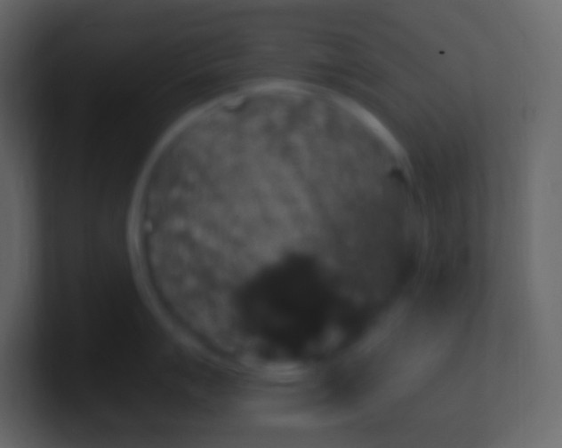 X0000100941007200807081230