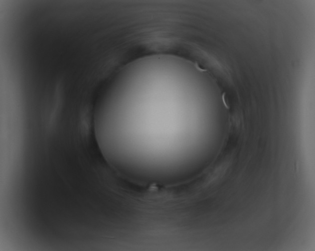 X0000100941012200807081230