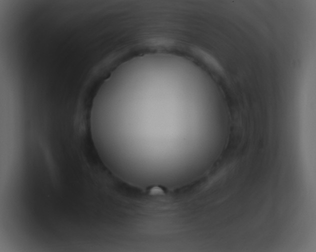 X0000100941016200807081230