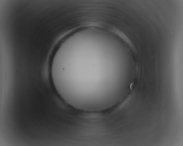 X0000100941020200807081230