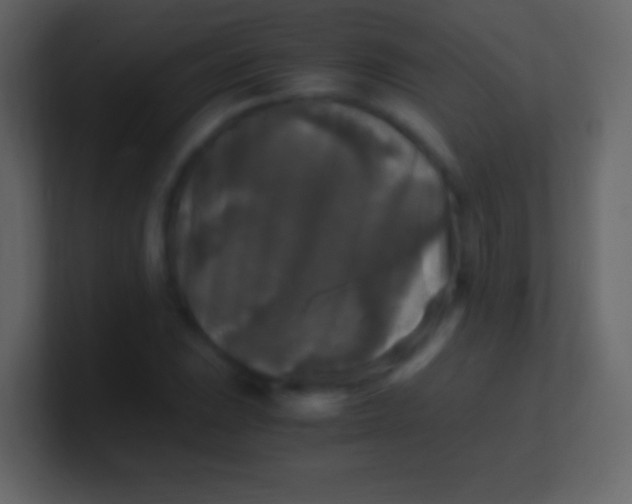 X0000100941023200807081230