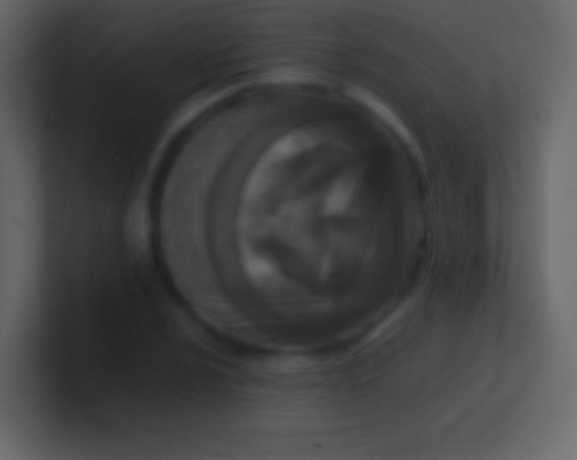 X0000100941024200807081230