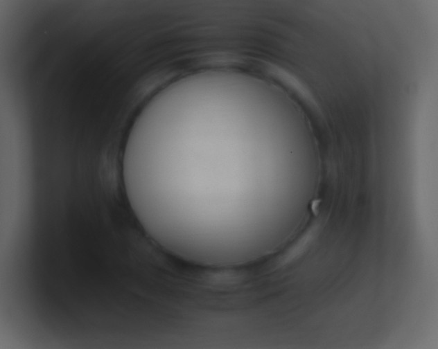 X0000100941025200807081230