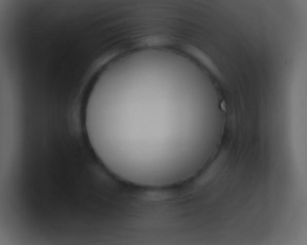 X0000100941026200807081230