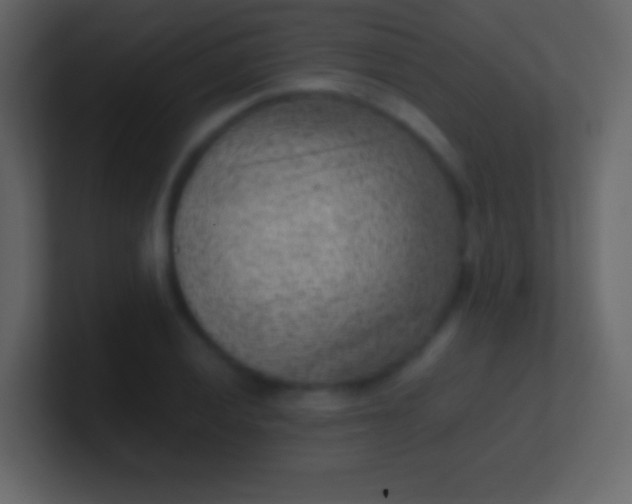 X0000100941028200807081230