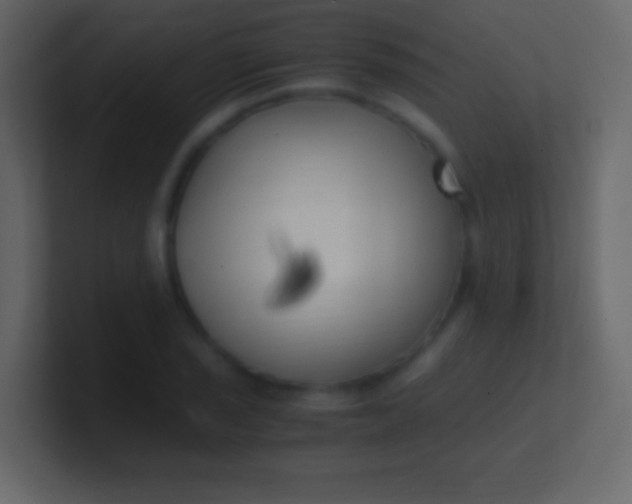 X0000100941029200807081230