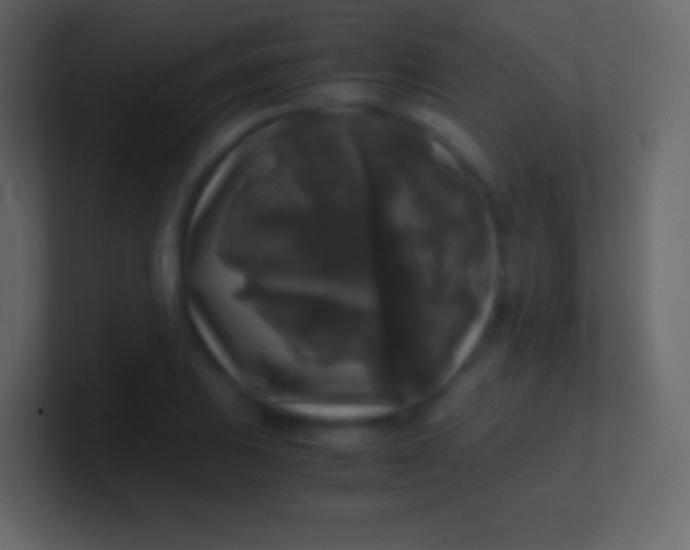 X0000100941031200807081230