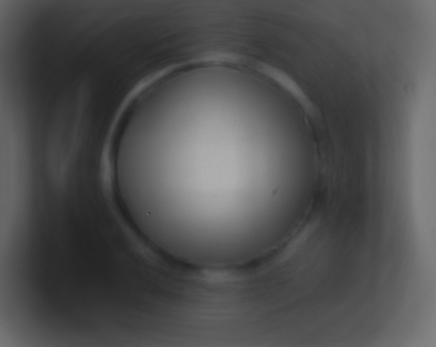 X0000100941032200807081230