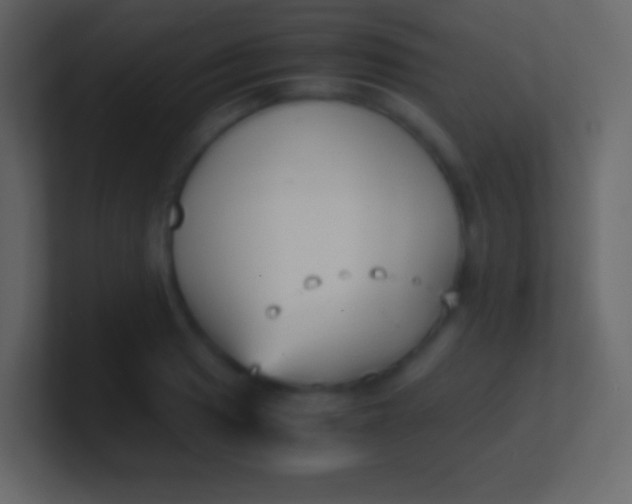 X0000100941033200807081230