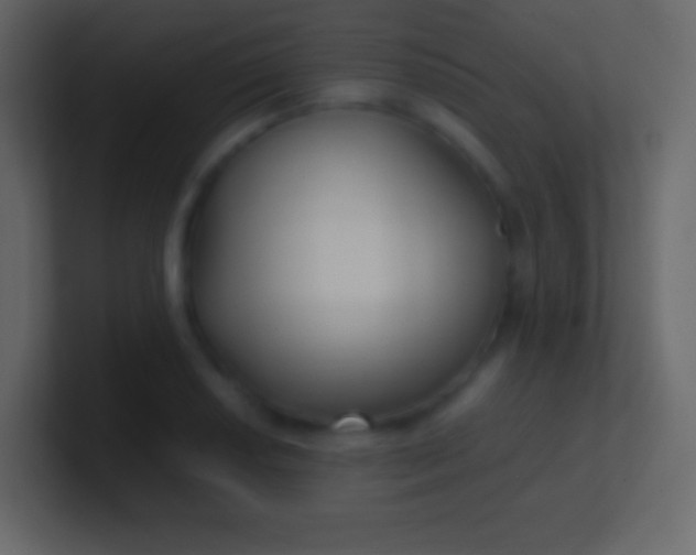 X0000100941034200807081230