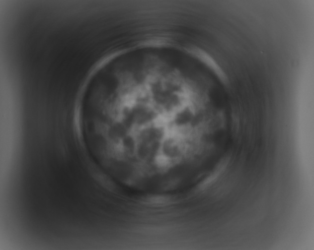 X0000100941035200807081230