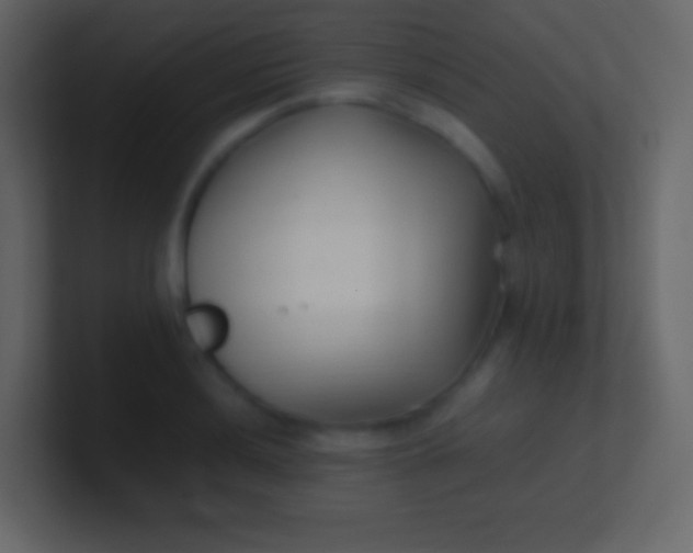 X0000100941036200807081230