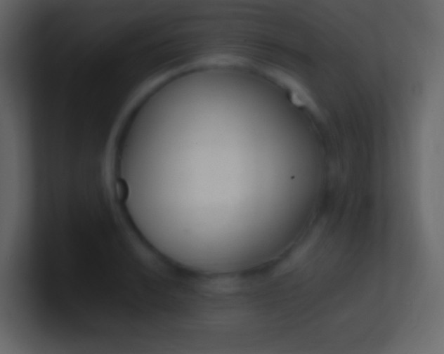 X0000100941038200807081230