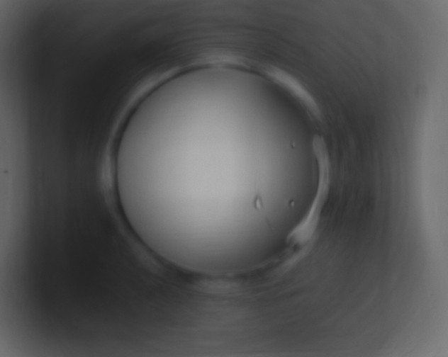 X0000100941040200807081230