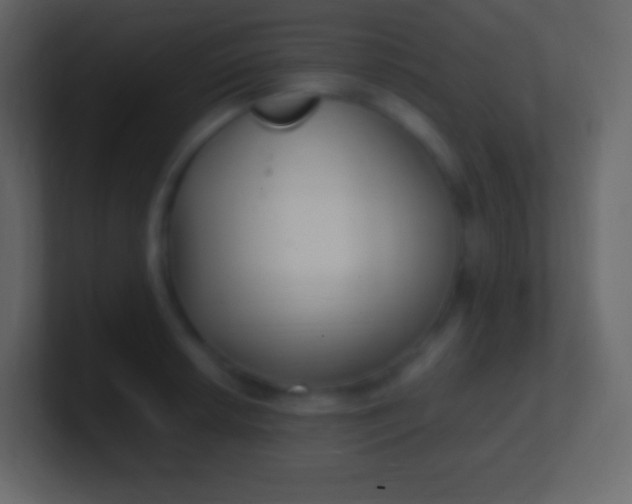 X0000100941042200807081230