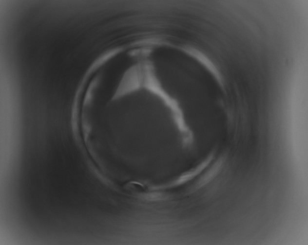 X0000100941045200807081230