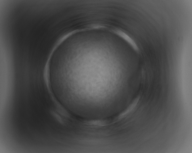 X0000100941047200807081230