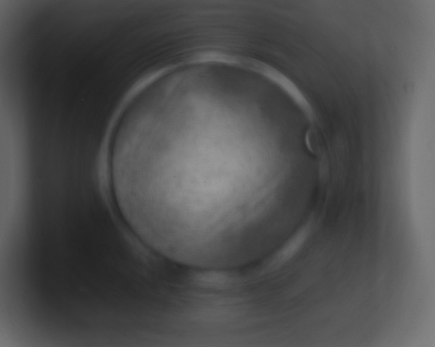 X0000100941048200807081230