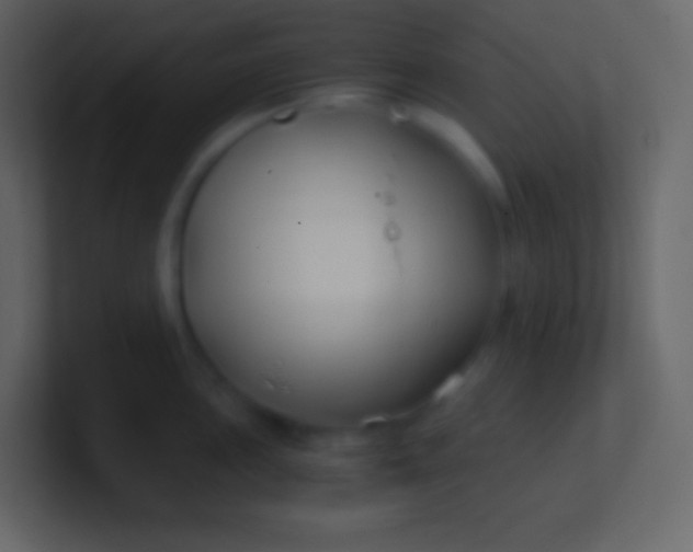 X0000100941051200807081230