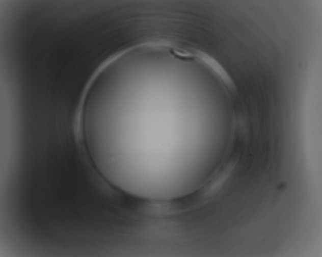 X0000100941052200807081230