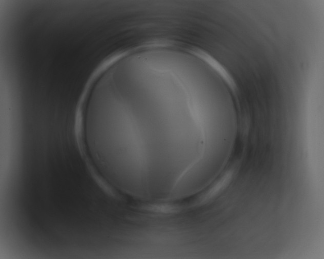 X0000100941053200807081230