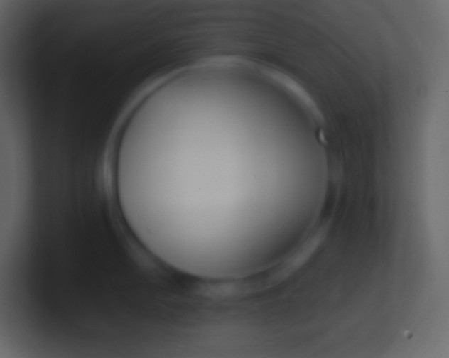 X0000100941054200807081230