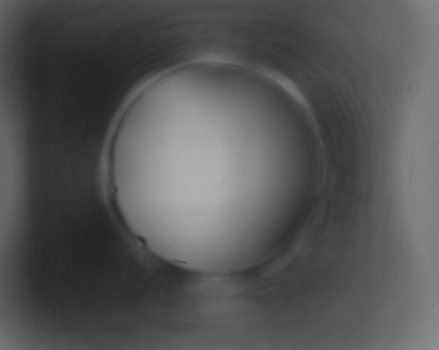 X0000100941056200807081230