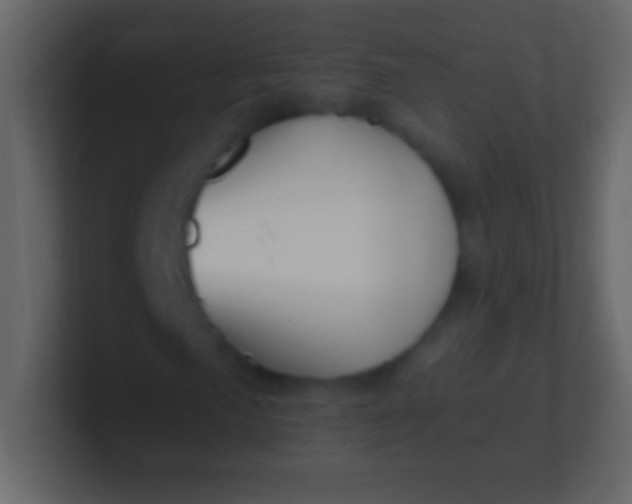 X0000100941057200807081230